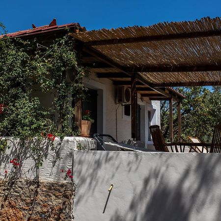 Sun&Sea Villas - Sea Vinglafia Exterior photo